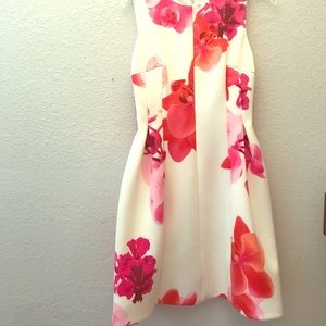 NWT Calvin Klein size 6 floral dress